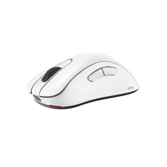Компьютерная мышь ZOWIE EC2-DW Белый