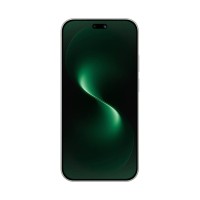 Абонентский терминал Huawei Nova 15 PSN-LX9 12GB RAM 512GB ROM Green