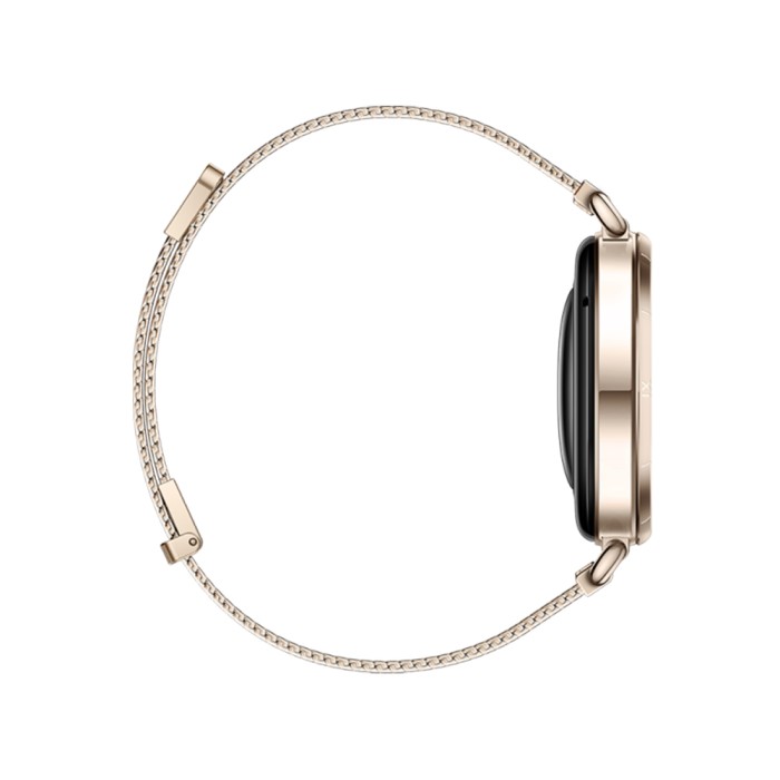 Смарт часы Huawei Watch GT 6 KSU-B19 41mm Gold Milanese Strap