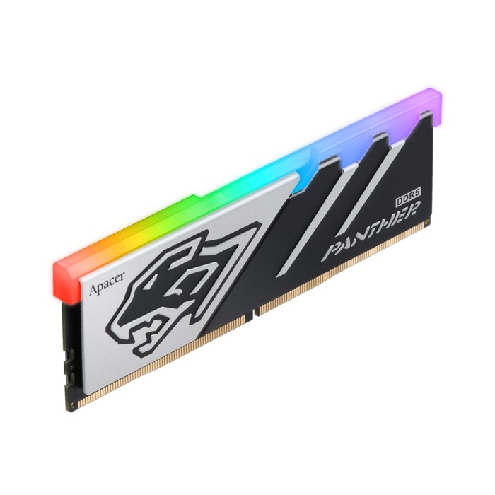Комплект модулей памяти Apacer Panther AH5U32G60C6229BAA-2 DDR5 32GB (Kit 2x16GB)
