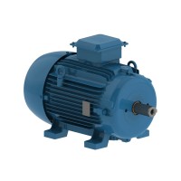 Асинхронный электродвигатель WEG 16803815 AM W20 -80 1.1 кВт 2P B3T 220-460 В 50 Гц