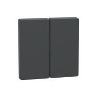 Клавиша MERTEN MTN3400-6034 D-Life 2-ная антрацит