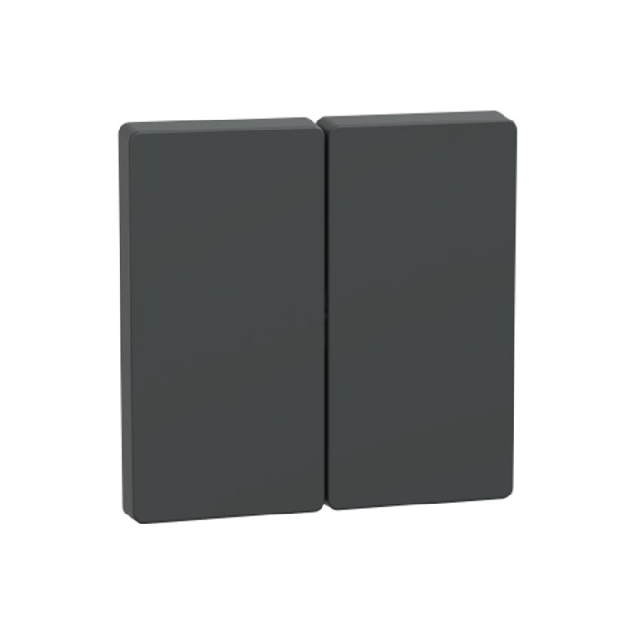 Клавиша MERTEN MTN3400-6034 D-Life 2-ная антрацит