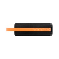 Портативная колонка Xiaomi Sound Outdoor 30W Golden