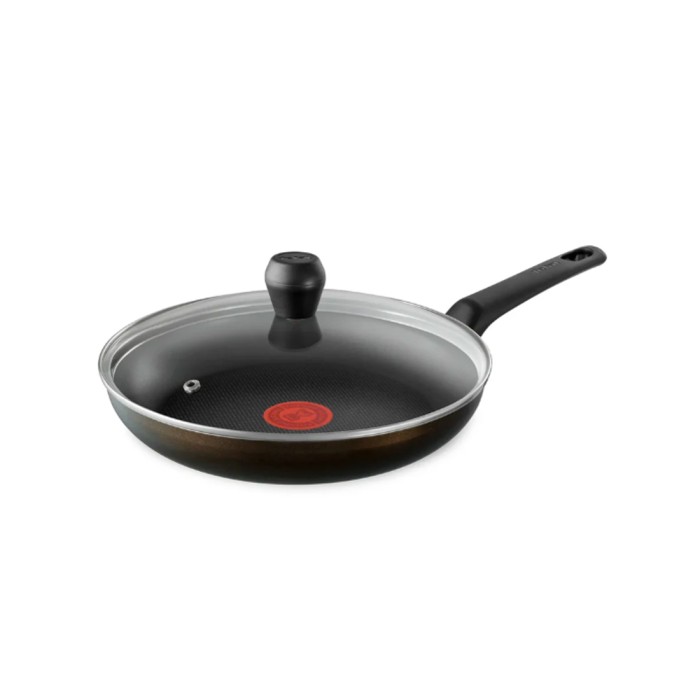 Сковорода с крышкой Tefal Easy plus 4237924 24см