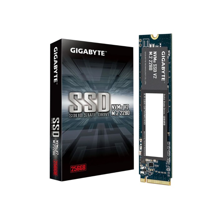 Твердотельный накопитель внутренний Gigabyte G3NVMEV2256G