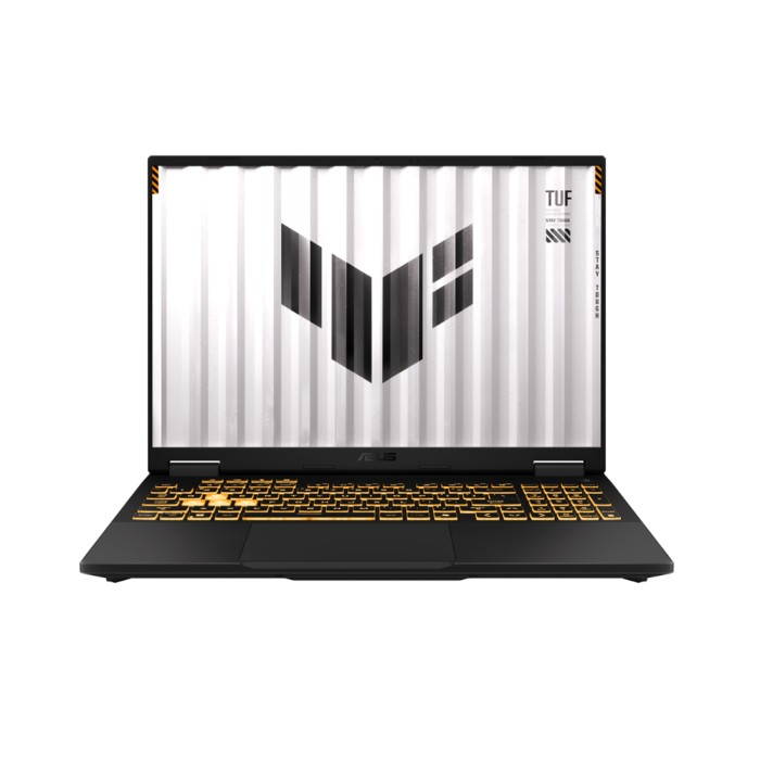 Ноутбук ASUS TUF Gaming F16 FX608JPR-RV118 16