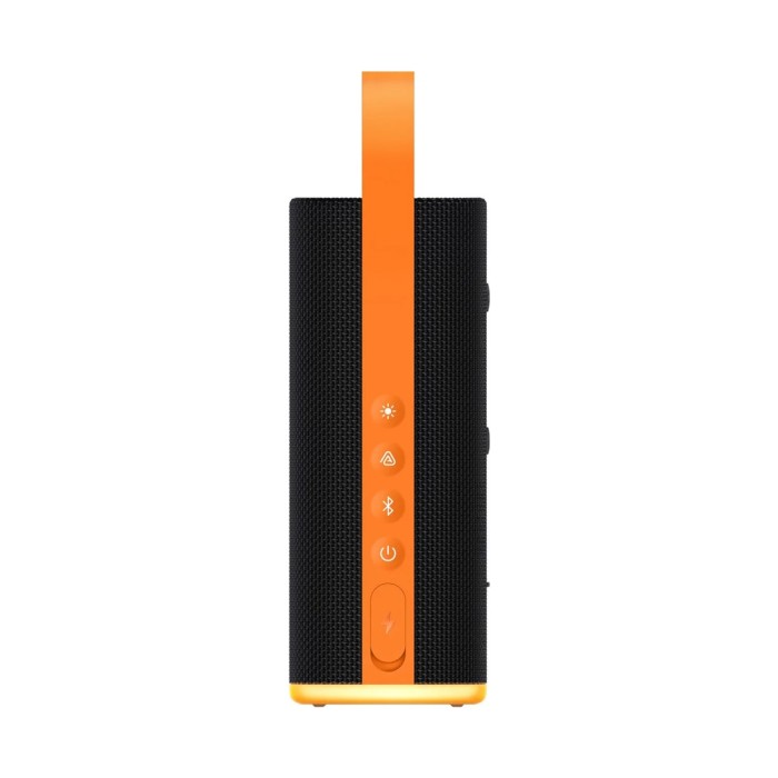 Портативная колонка Xiaomi Sound Play18W Black
