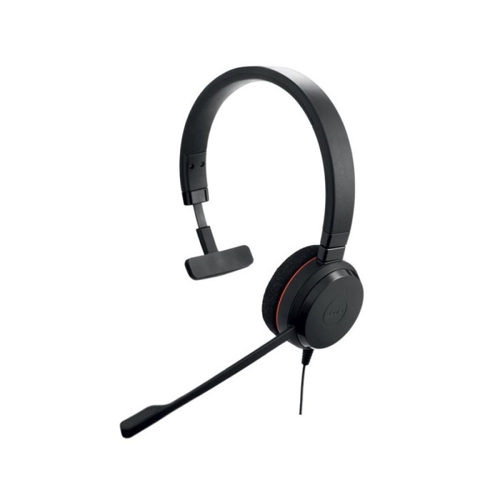 Гарнитура Jabra EVOLVE 20 MS Mono USB C/A adapter