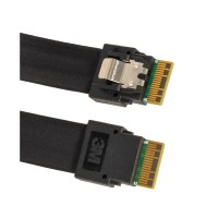 Кабель интерфейсный SFF-8654 (x8) 2xSFF-8654 Supermicro CBL-SAST-1276F-100