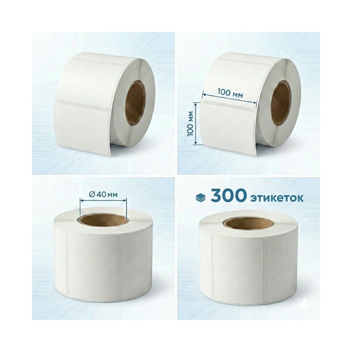 Термоэтикетки в рулоне Europrint EPLE-100.100.300.40 (2 рулона)