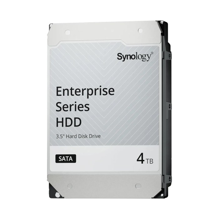 Жесткий диск Synology HAT5320-4T