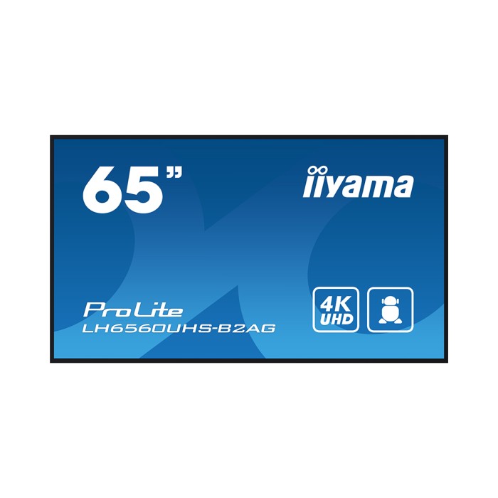 Монитор iiyama PROLITE PL6560U LH6560UHS-B2AG 65