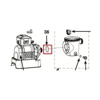 Уплотнительное кольцо Intex 11457