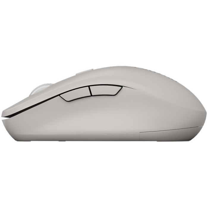 CANYON mouse MW-12 Dual band Wireless grey