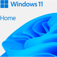 Электронная лицензия (ESD ключ) Microsoft Windows 11 Home 64Bit
