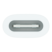 Apple USB-C to Apple Pencil Adapter, Model A2869