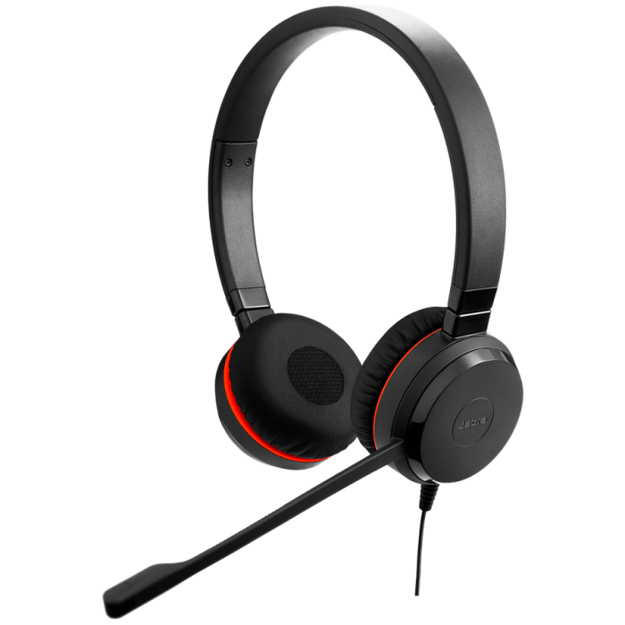 Гарнитура Jabra EVOLVE 20 Stereo MS USB C/A adapter