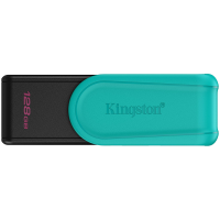 USB-накопитель Kingston DTXS/128GB 128GB
