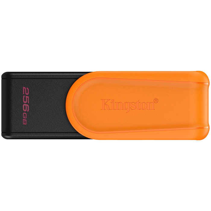 USB-накопитель Kingston DTXS/256GB 256GB