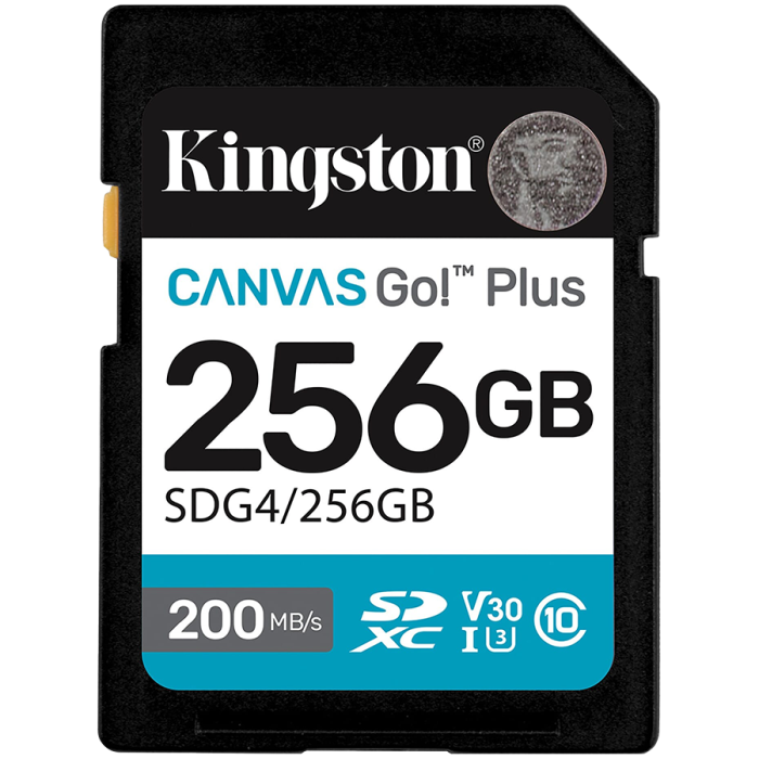 Карта памяти Kingston SDG4/256GB Canvas Go Plus Gen4 C10 UHS-I U3 V30 256GB