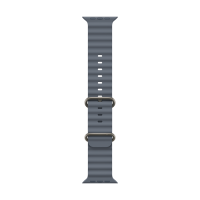 49mm Anchor Blue Ocean Band - Natural Titanium Finish