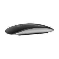 Magic Mouse - Black Multi-Touch Surface,Model A3204