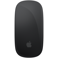 Magic Mouse - Black Multi-Touch Surface,Model A3204