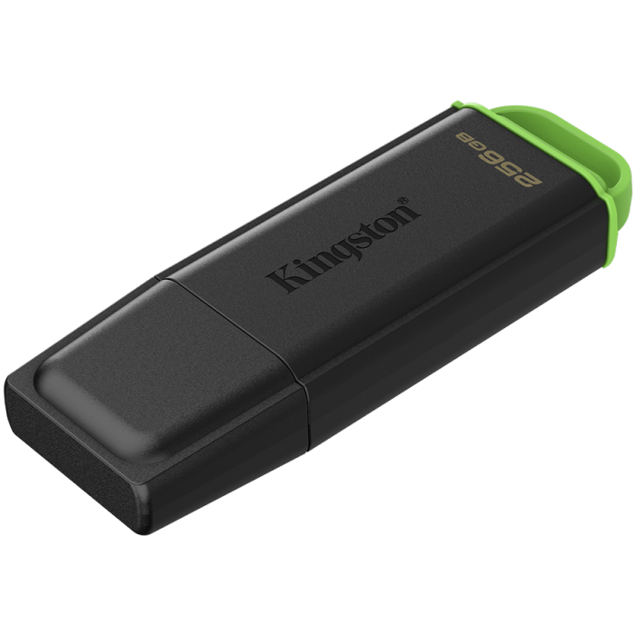 USB-накопитель Kingston DTXG2/256GB 256GB Чёрный/Зелёный