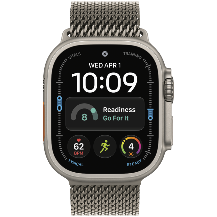 49mm Natural Titanium Milanese Loop - Large, Model