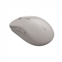 CANYON mouse MW-12 Dual band Wireless Beige