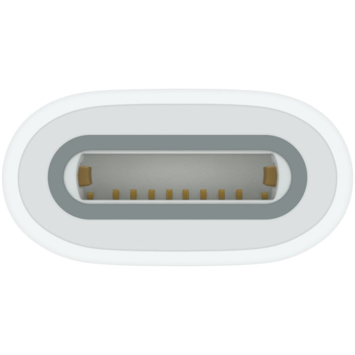 Apple USB-C to Apple Pencil Adapter, Model A2869