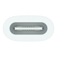 Apple USB-C to Apple Pencil Adapter, Model A2869