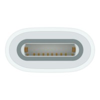 Apple USB-C to Apple Pencil Adapter, Model A2869