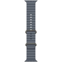 49mm Anchor Blue Ocean Band - Natural Titanium Finish